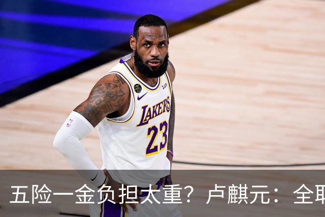 五险一金负担太重？卢麒元：全取消，征房产直接税，经济才会正常