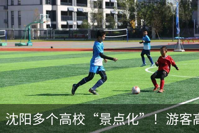 沈阳多个高校“景点化”！游客高兴，学生却懵了...