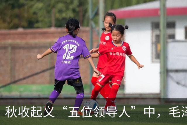 秋收起义“五位领导人”中，毛泽东后来当选国家主席，另外四人的一生经历与最终结局究竟如何？