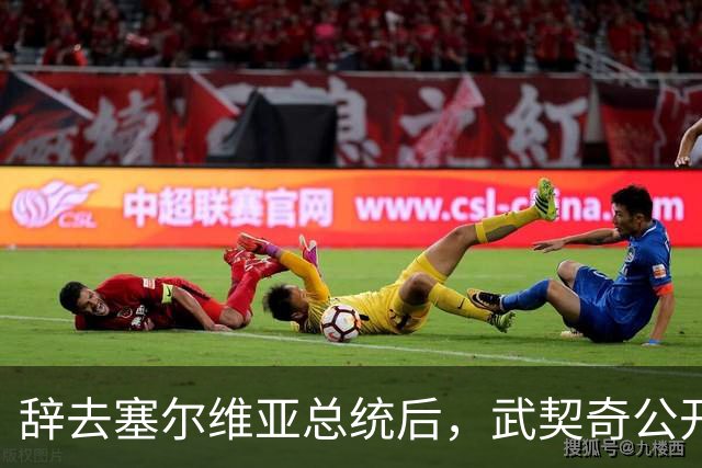 辞去塞尔维亚总统后，武契奇公开作出承诺：不会对俄罗斯实施制裁